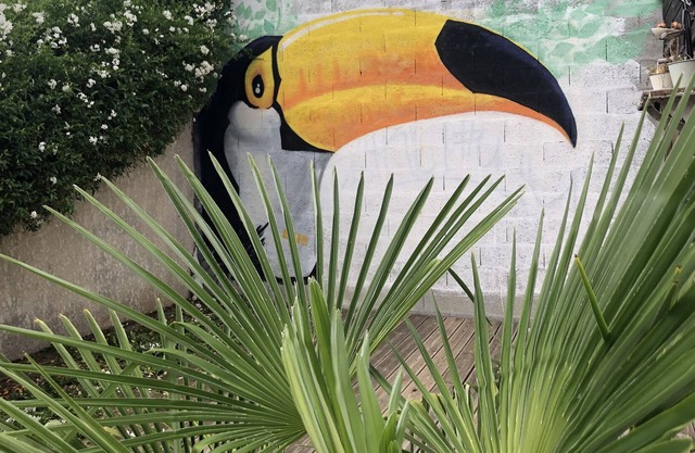 The house of the Toucan - homestays