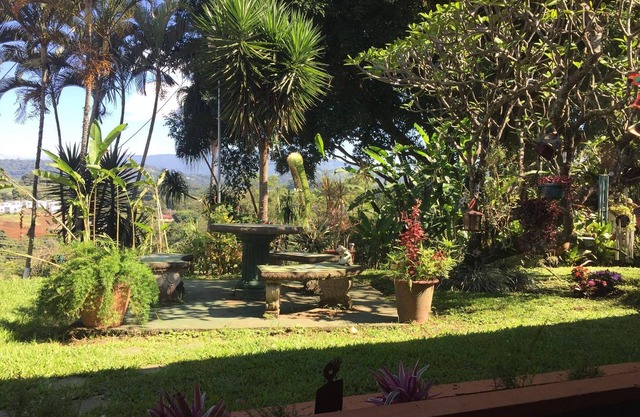 La casa llena de colibríes