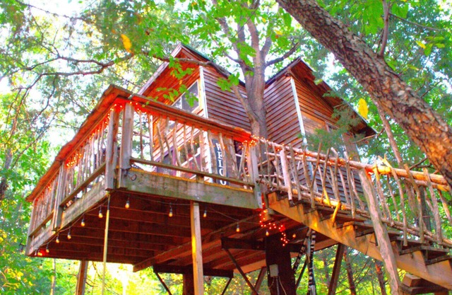 The Hummingbird Treehouse