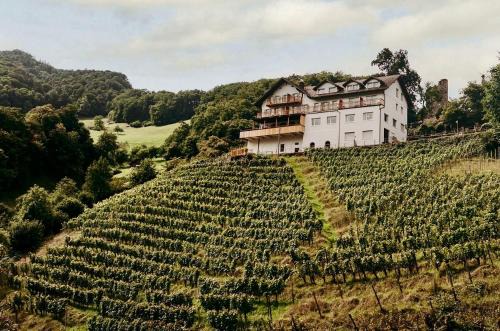 THE HUS am Weinberg