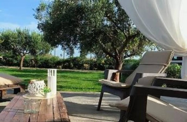 The court of the olive trees - 1