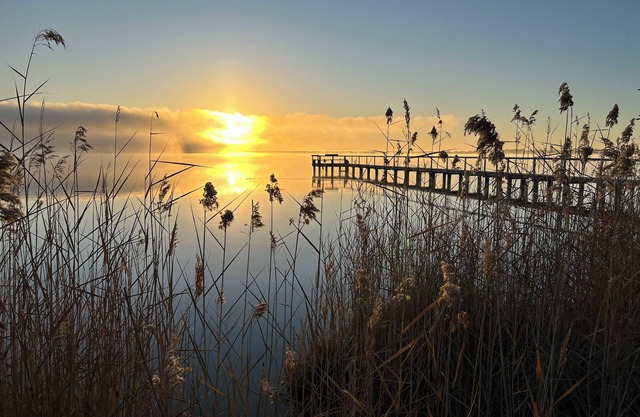 The Jetty House - Water Front Stay Lake Bonney Riverland