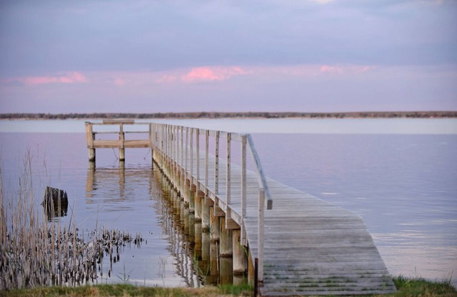 The Jetty Hut - Water Front Stay Lake Bonney Riverland