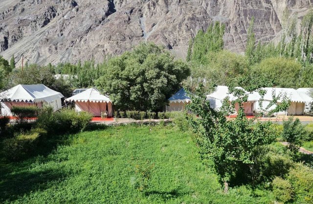 The Ladakh Summer Camp