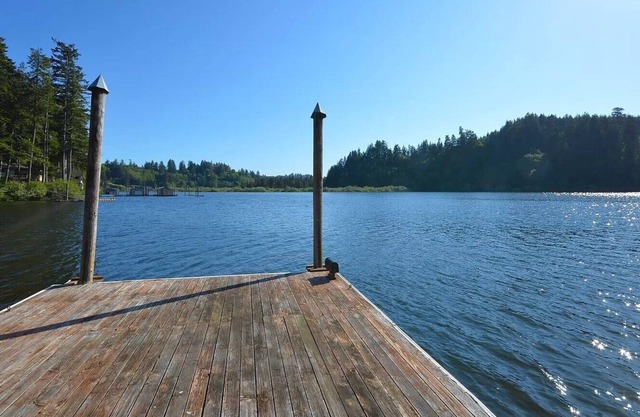 The Lakehouse sleeps 11, pets ok, private dock
