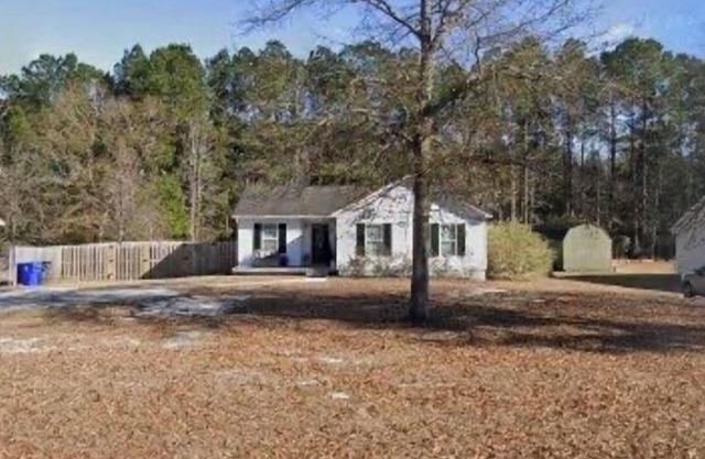 The Lewis House, Charming 3-bedroom house with WiFi and AC in lovely Leland.