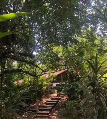 The Linger Farm