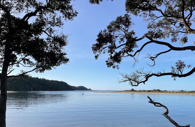 The Little Blue Bach