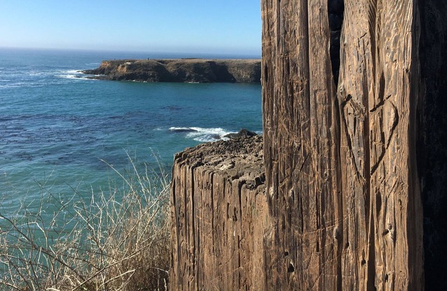 The Mustard Cottage + EV Charger