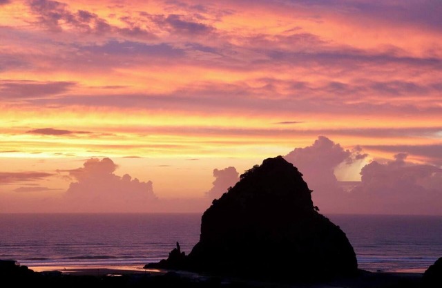 The Little Louise's of Piha