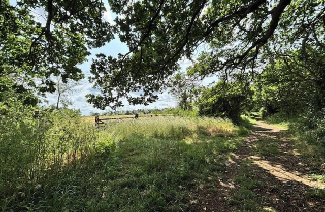 The lodge Sleeps 5 Away from it all self catering property in Newbourne,