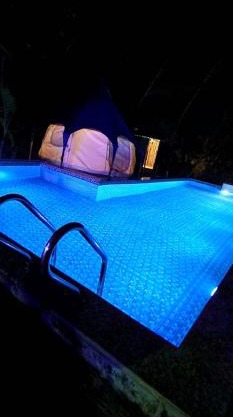 The Lotus Resort LLP
