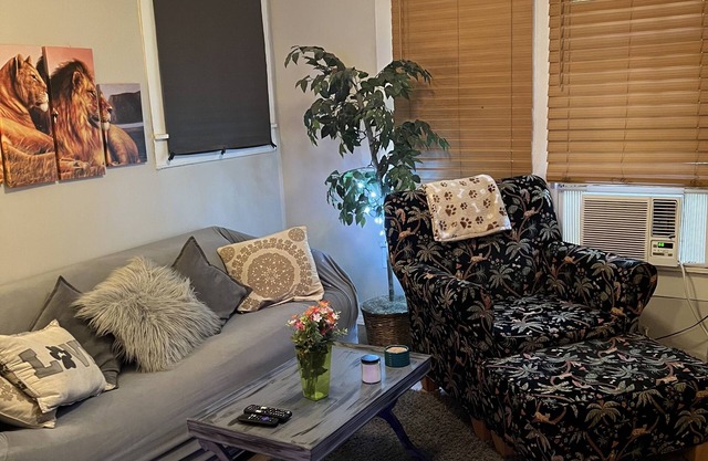 The Lyons Den - Great work place with high speed internet near downtown.