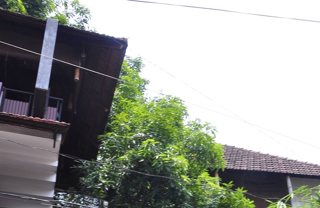 The Mango Tree Inn