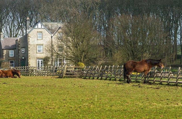 The Manor House