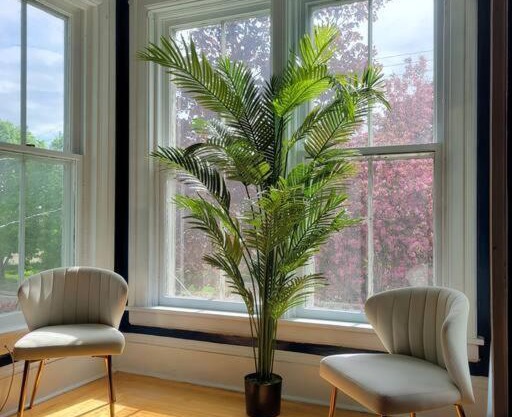The Maple Shade Suite