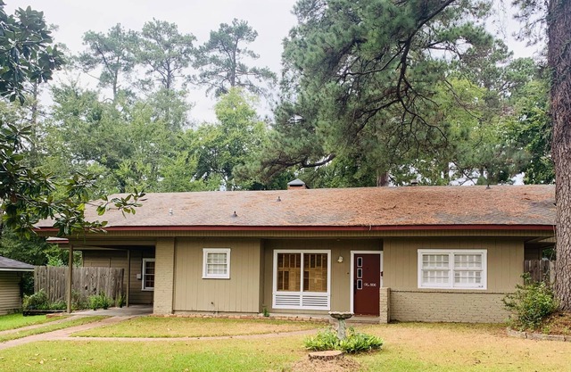The Martin Cottage! Located a block from St. Luke's- few minutes from downtown!