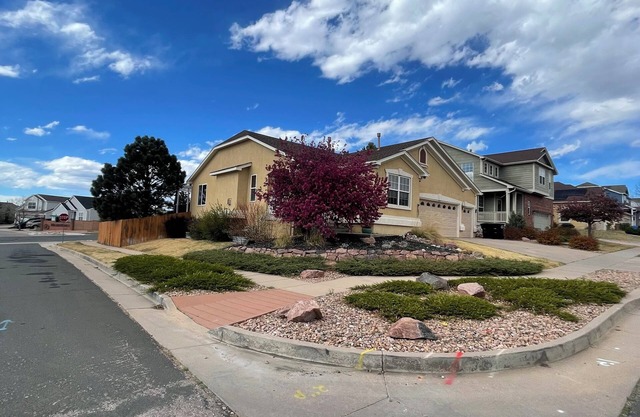 The Mile High Oasis