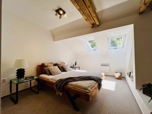 The Mountain Sky Apartment - prostorný loft 198 m2 s lesem za okny vhodný pro rodiny s dětmi, terasa, dětský koutek, parkování zdarma