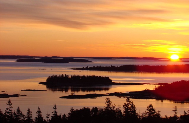 La belleza natural de Downeast, ME, rodea Pyne Cove Cottage y le da la bienvenida.