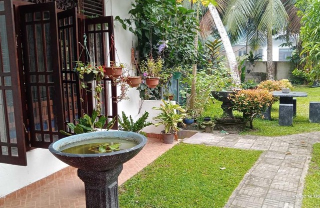 The Nature villa