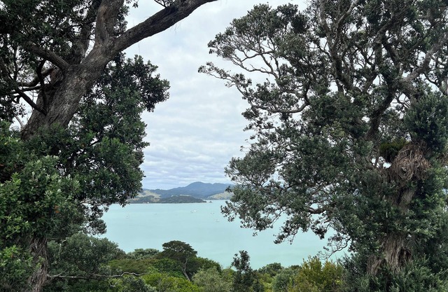 The Nest- Stunning Seaview's