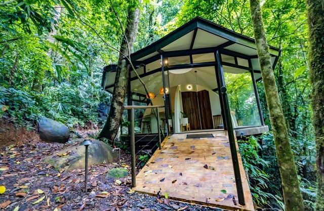 The Nest Unique Jungle Retreat