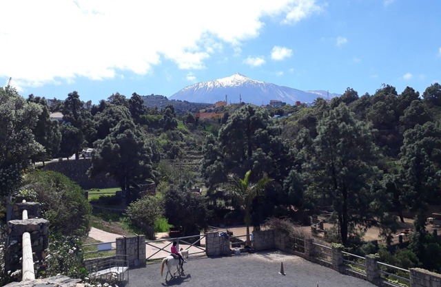 El norte de Tenerife: más que un volcán