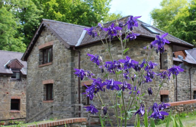 The Old Mill. Rodeado por más de 450 acres de granja orgánica
