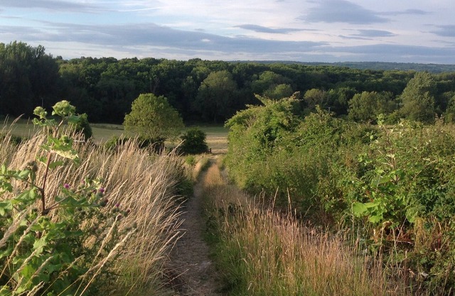 Adjacent to the South Downs