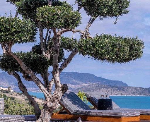 The Olive Tree Villa Elounda