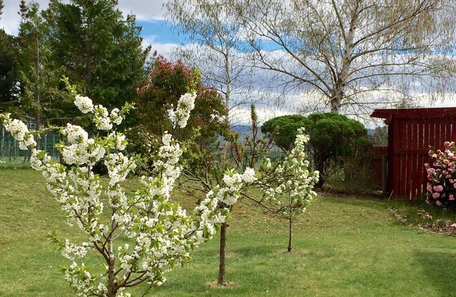 The Orchard Studio: encantador, privado y compacto.