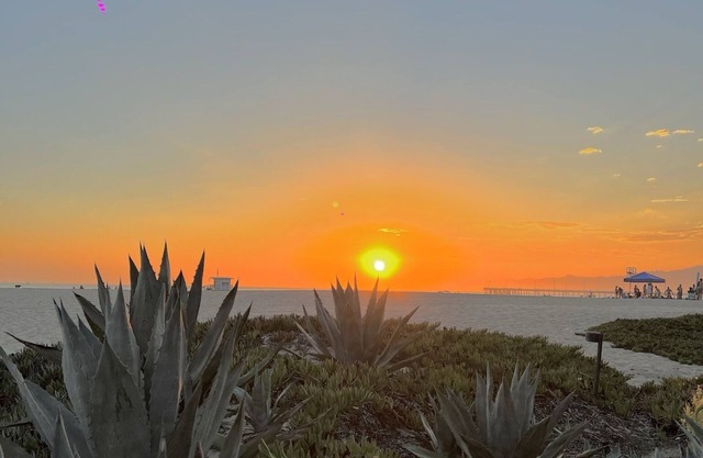 The Pacific Beachouse