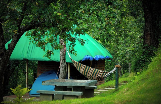 The Pear County