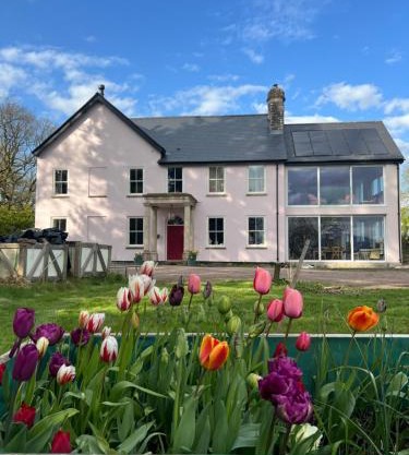 The Pink House