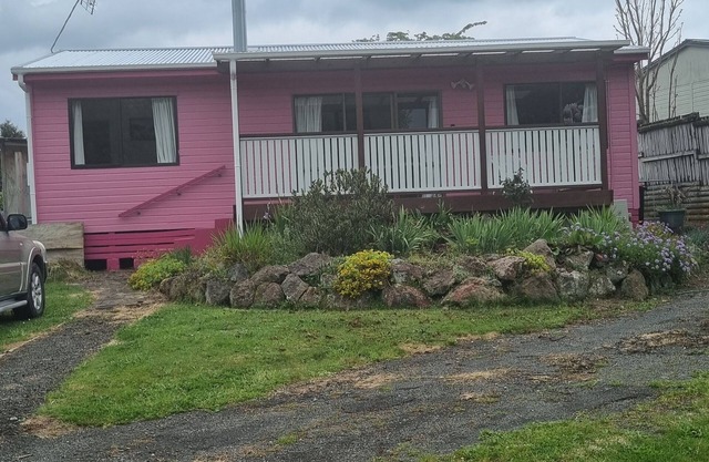 The Pink House