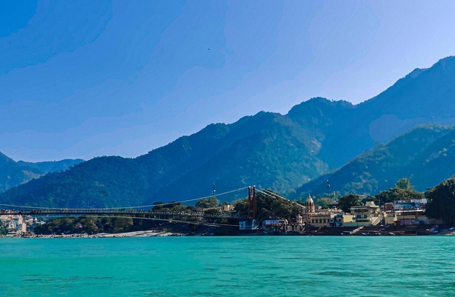 The Raajas - Camp & Resorts