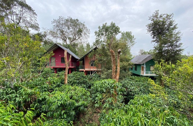 The Rain Tree Resort