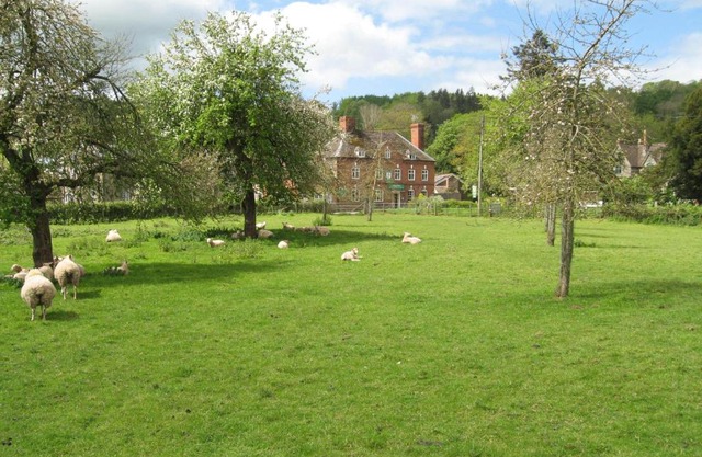 The Red Lion Hotel