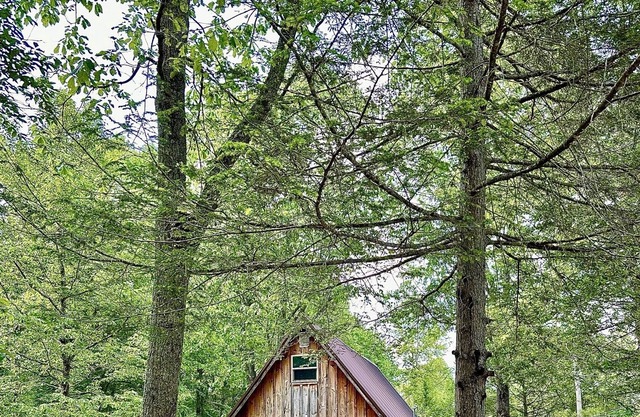 The Ridge A-Frame: Cave Run Lake | Red River Gorge