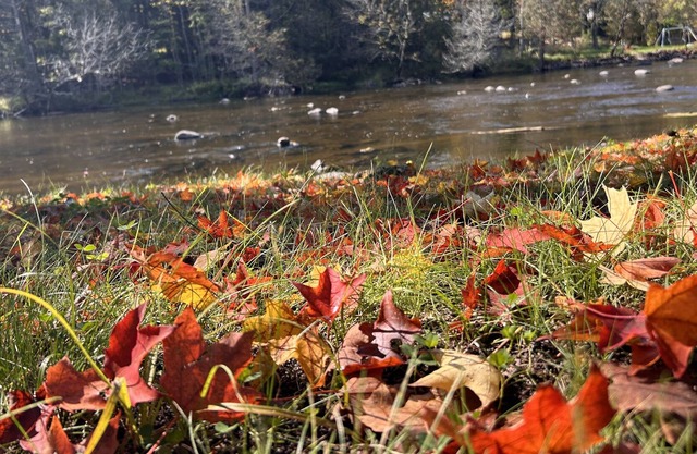 The Rivers Edge Cottage! ATV-UTV-Snowmobiling right out your front door!