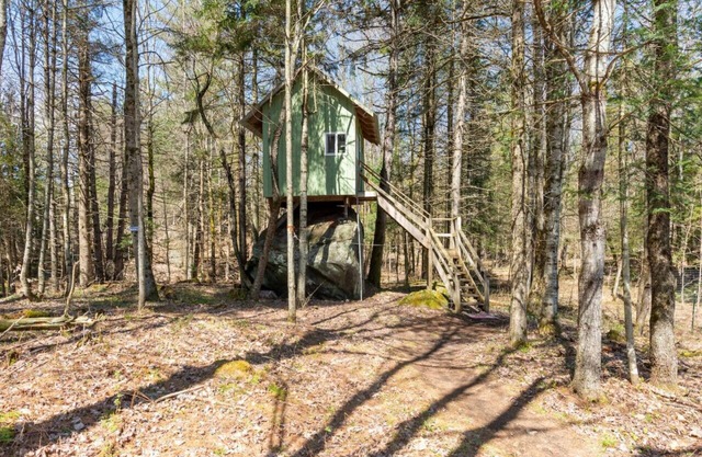 The Rock House up in the trees!
