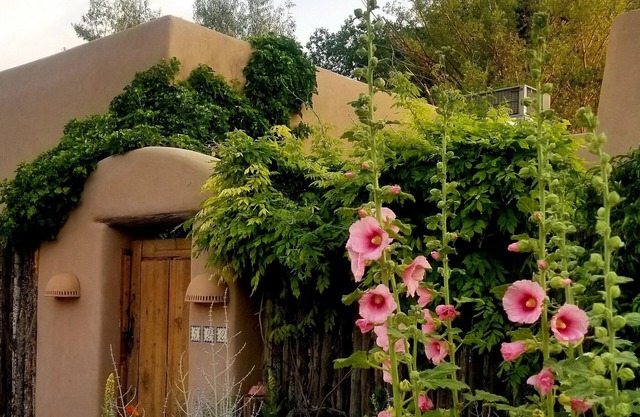 La Rosa Casita. Contemporáneo, magnífico, sereno, perfecto. Lo mejor de santa fe.