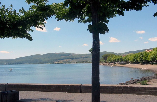la rosa en el lago en Trevignano Romano
