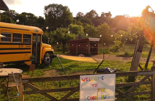 The School Bus