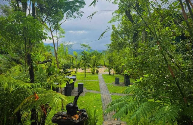 The Secret Garden at Mist of Sinharaja