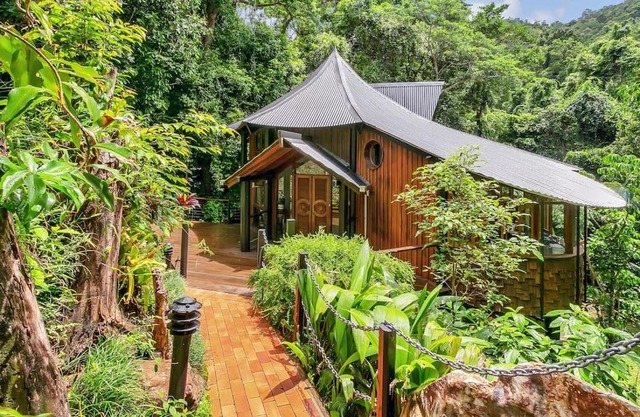 The Secret Treehouse