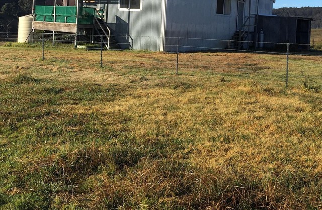 The Shearing Shed Yarrowitch