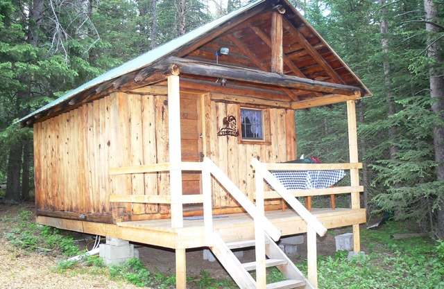 Wolf Crossing - Cabina