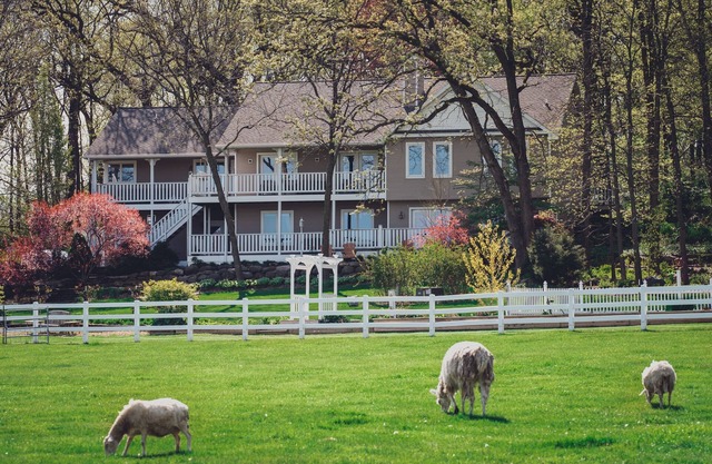 The Speckled Hen Inn B&B